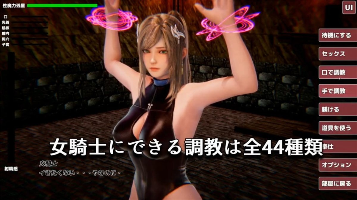 调教/SLG/新作/有动画丨監禁女騎士～異世界転生したらオークに間違われた男+特典丨【20231027】 游戏截图 1