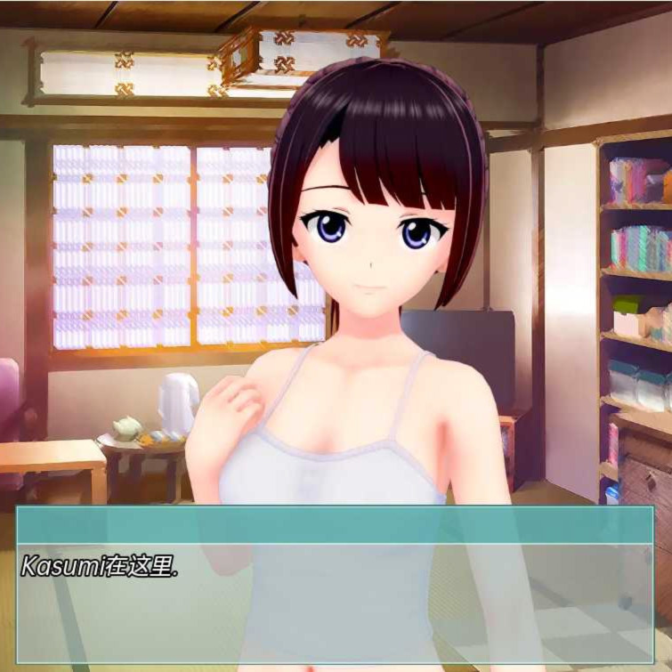 后宫住宅 Harem Residence v0.09