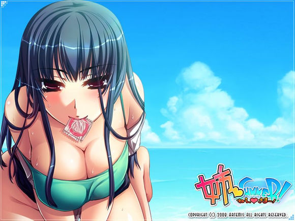 姉SUMMER 游戏截图 3