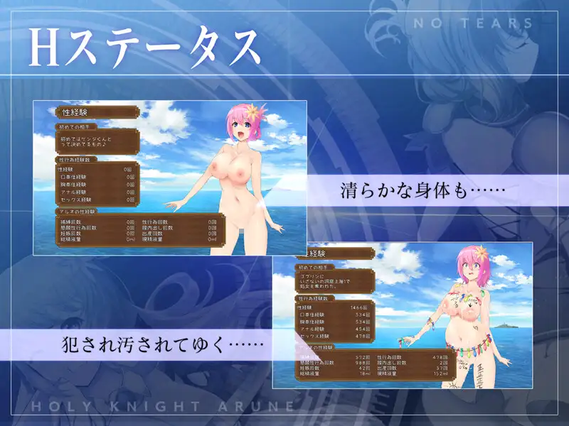 ACT/PC丨圣骑士阿尔内与魔孕的咒印 聖騎士アルネと魔孕の呪印~Another No Tears~ Ver1.0.5 【20241209】 游戏截图 7