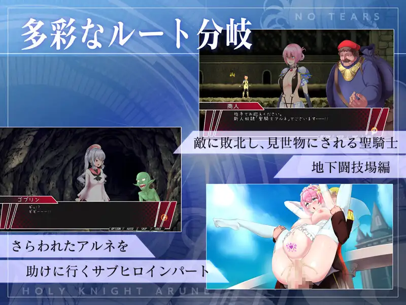 ACT/PC丨圣骑士阿尔内与魔孕的咒印 聖騎士アルネと魔孕の呪印~Another No Tears~ Ver1.0.5 【20241209】 游戏截图 4
