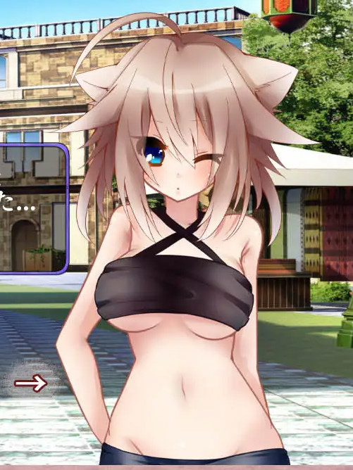 让我们来经营异世界窑子吧！ V2.22 完整正式版付图包【PC0901】