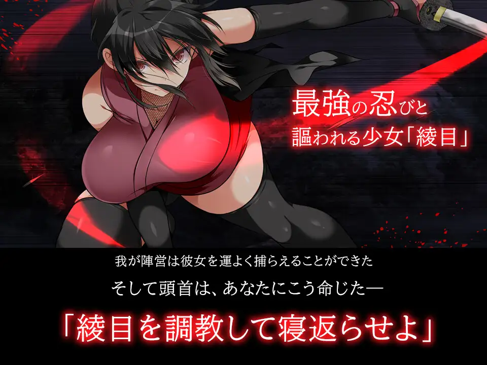 大型SLG/官中/动态丨忍堕:女忍调教/女忍者堕落:忍堕とし B.13126066 STEAM官方中文版+DLC+攻略【20240613】 游戏截图 7