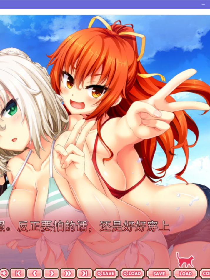 野良与皇女与流浪猫之心 VFB