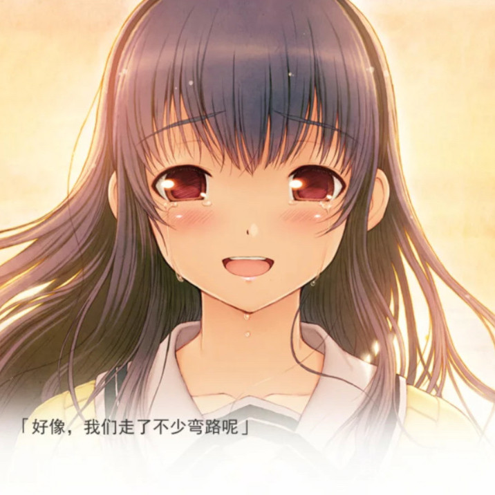 君与彼女与彼女之恋 