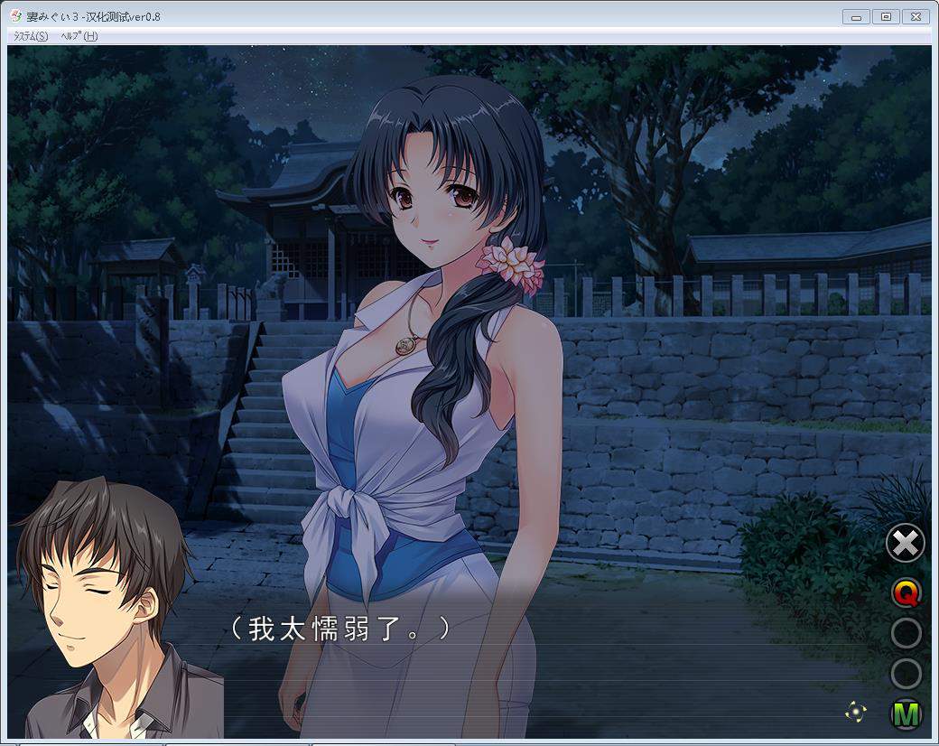 妻中蜜3完整汉化版 游戏截图 5