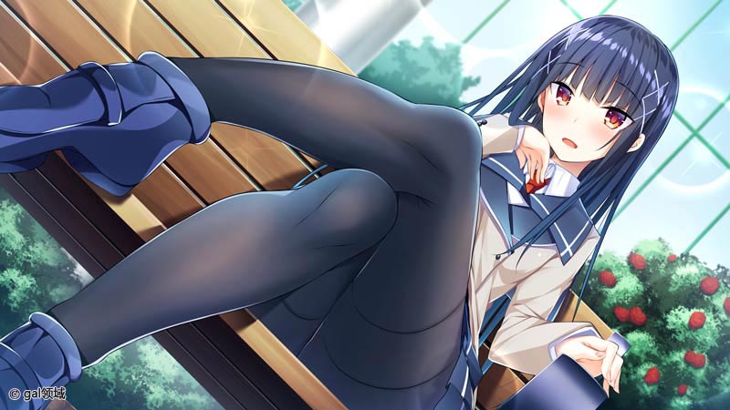 拔作ADV/汉化丨キミに迫るオトメのレッスン-逼近你的少女 AI汉化版+全CG存档【20240418】 游戏截图 4