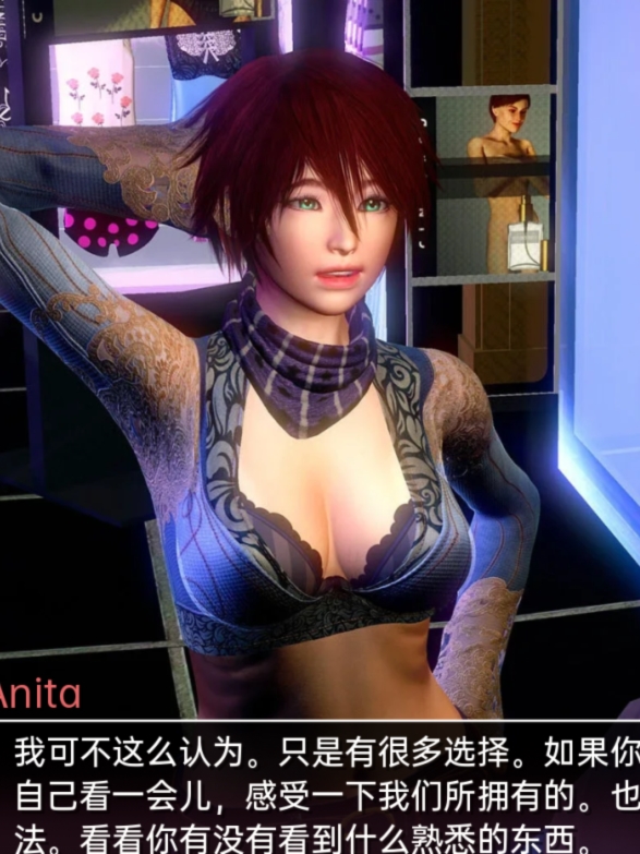 临时域 The Interim Domain v0.12.0【20230502】