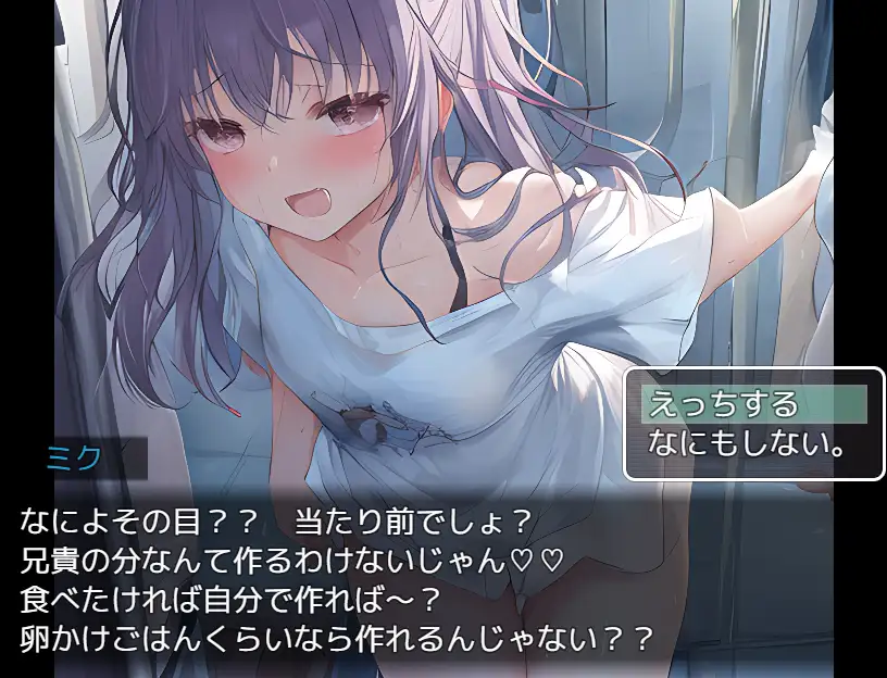 RPG/机翻丨NPC姦～姫とJKと妹を犯せ【20231214】 游戏截图 5