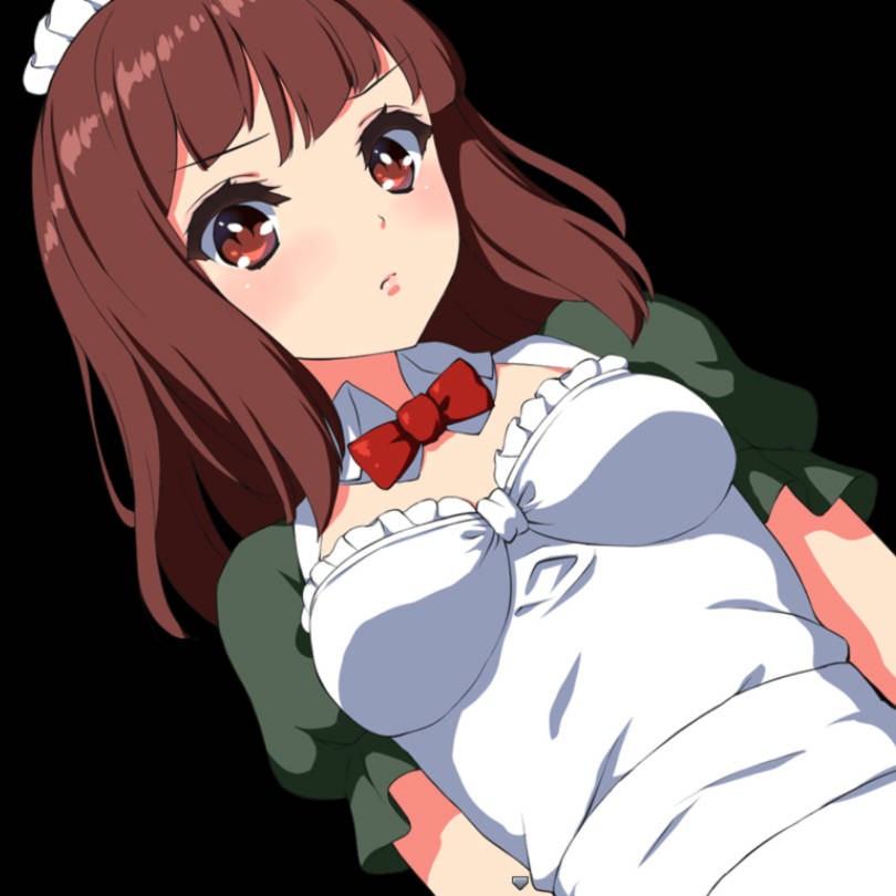 报复者