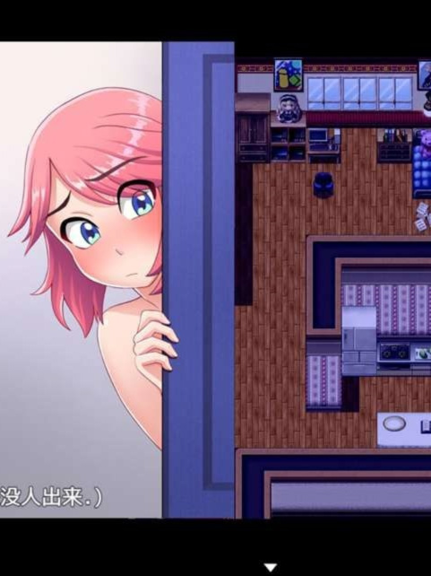 妮卡的冒险0.33