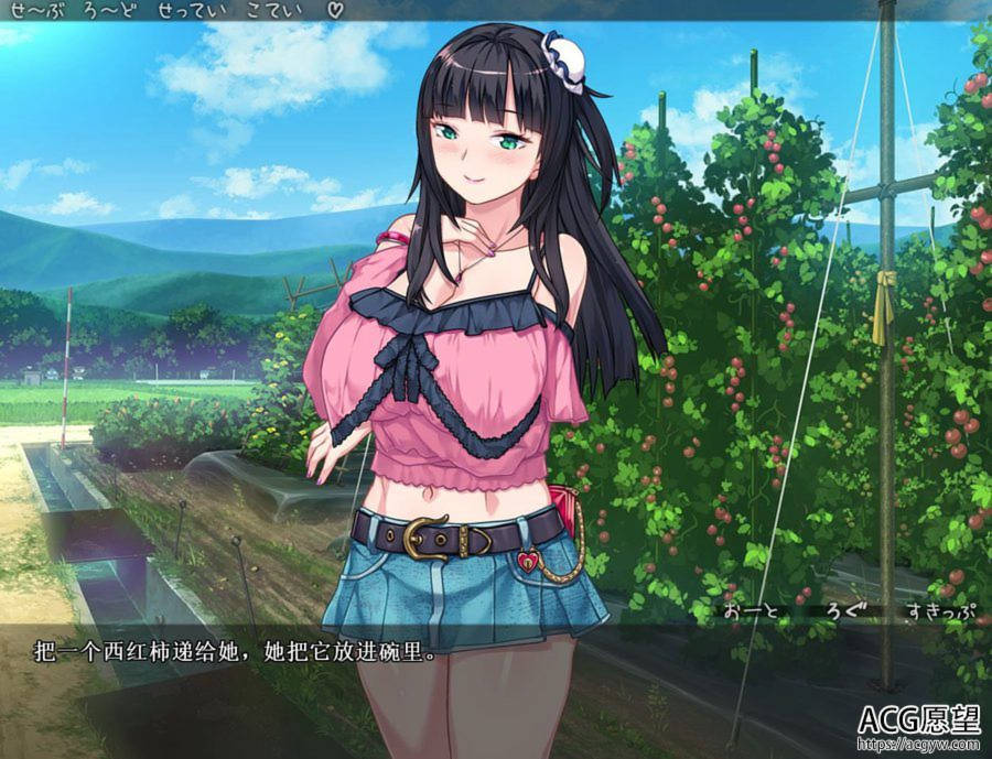 DSKBJCS☆-和三名小恶魔的银汁夏日！云翻汉化版 游戏截图 3