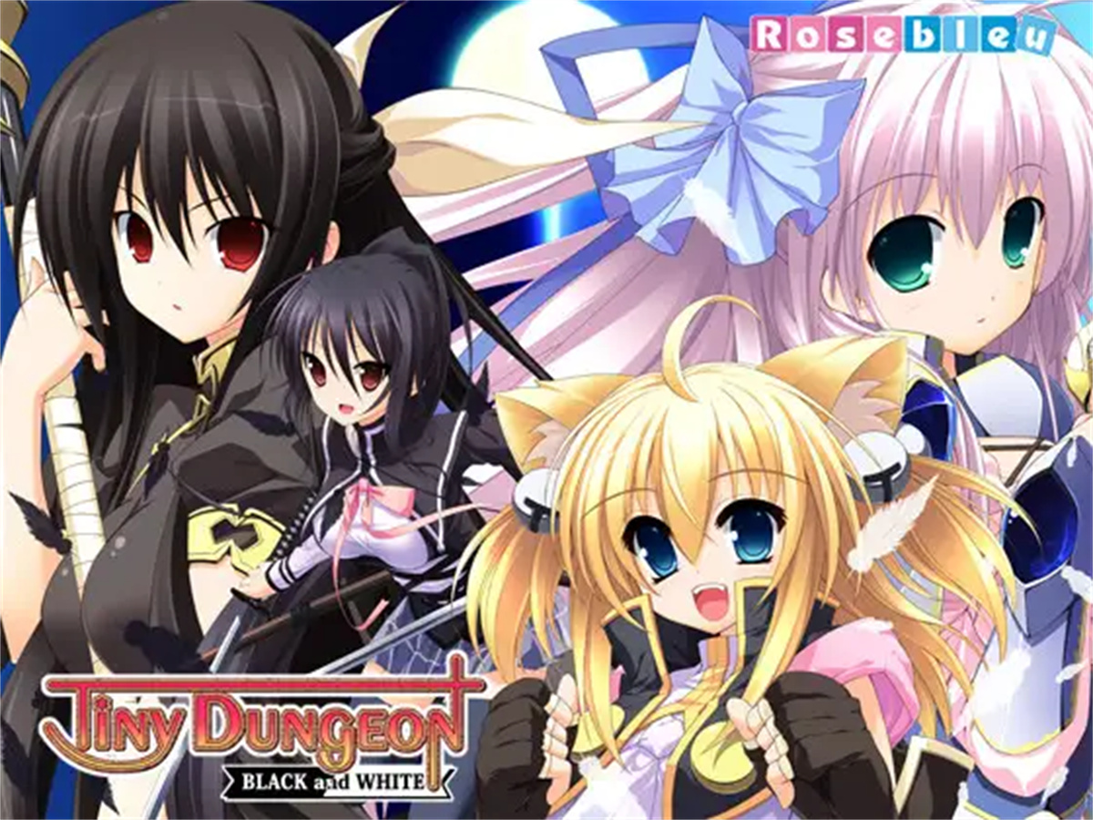 Tiny Dungeon ~BLACK and WHITE~ 游戏截图 6