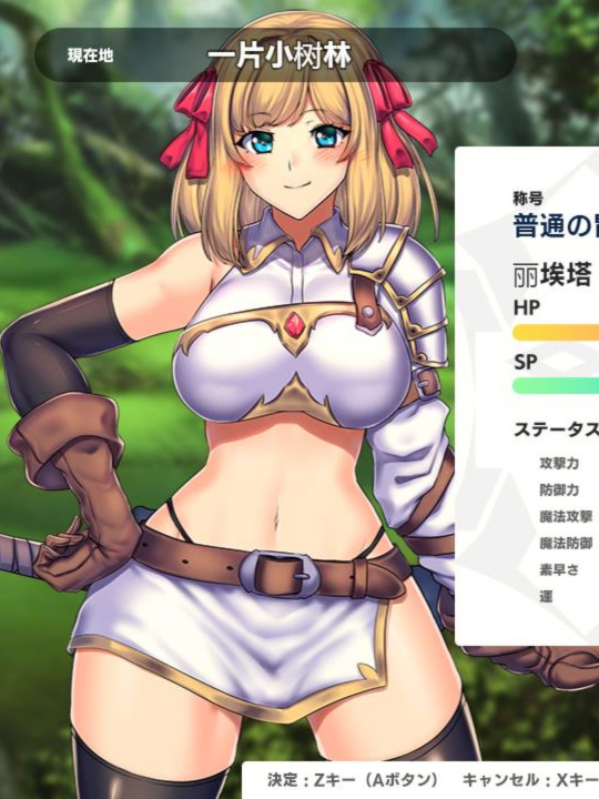 淫欲冒险者与王家之血：Obscurite Magic 空白精翻破解版