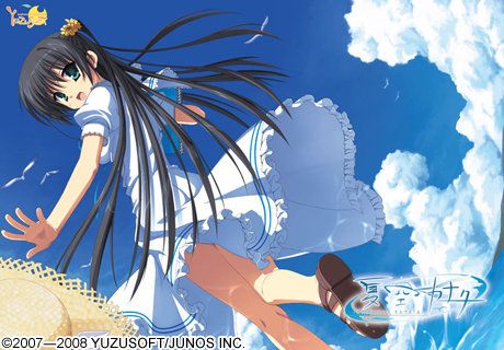 夏空彼方 游戏截图 3