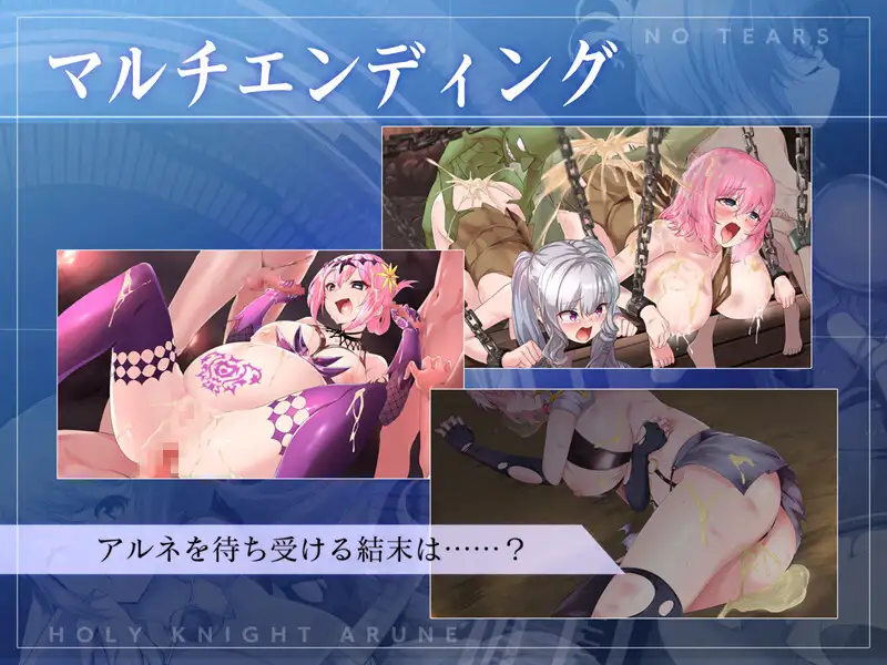 ACT/PC丨圣骑士阿尔内与魔孕的咒印 聖騎士アルネと魔孕の呪印~Another No Tears~ Ver1.0.5 【20241209】 游戏截图 2
