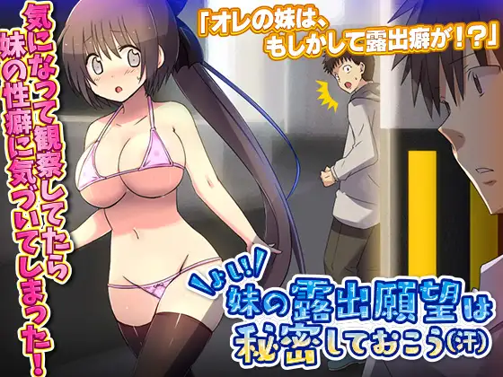 ADV/PC/AI汉化丨 好!妹的暴露欲望，还是保持秘密吧 汗 よし!妹の露出願望は秘密しておこう 汗 【20240720】 游戏截图 4