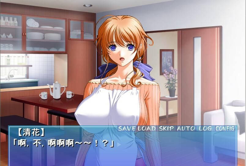 银母公寓！云汉化版 游戏截图 2