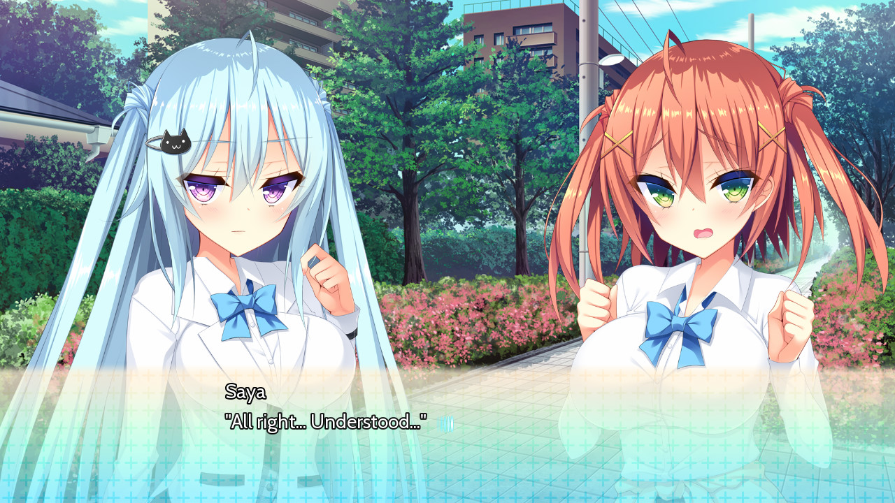 我可爱的双子妹妹 (Chinkamo Twins!)官方中文版【PC0818】 游戏截图 8