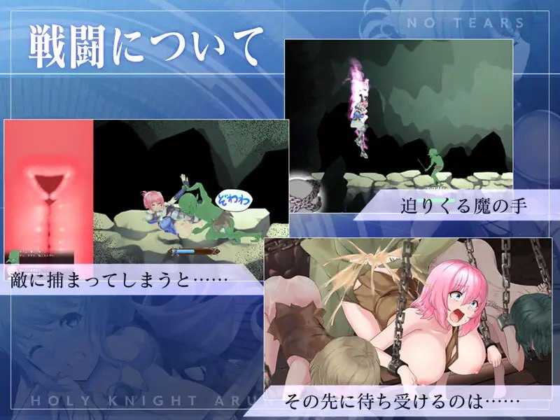 ACT/动态丨聖騎士アルネと魔孕の呪印～Another No Tears～ Ver1.07 【20241225】 游戏截图 5
