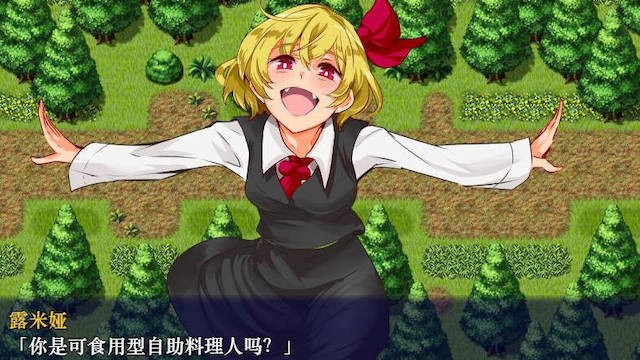 時奸停止幻想乡 汉化版+CG 【20221230】 游戏截图 5