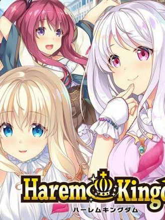 合集/ADV丨SMEE社汉化作品合集--Haremkingdom(现世双飞篇)VOL01简体中文版ver1.0【20240528】