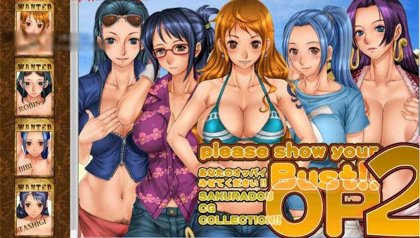 请秀出你的欧派!海贼王+DQ+高达三版本合集 【PC0818】 游戏截图 6