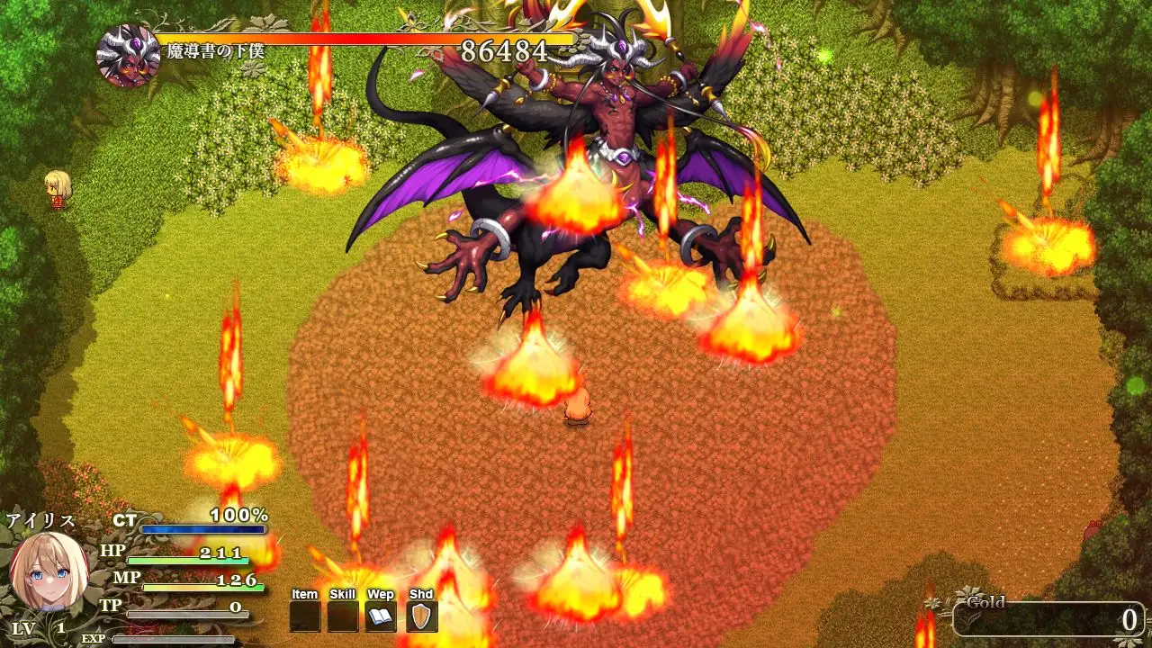 RPG/PC/AI汉化丨 艾莉丝的魔导书 アイリスの魔導書 【20240730】 游戏截图 5