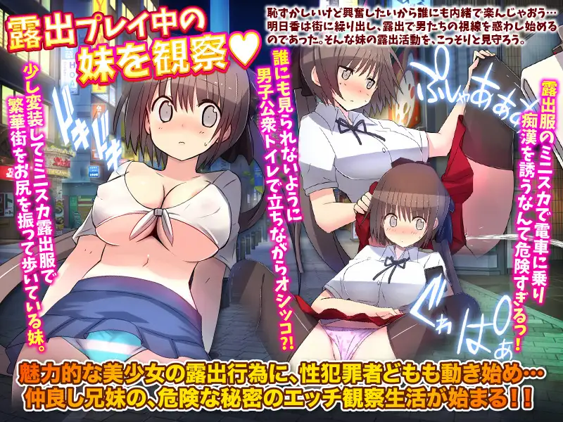 ADV/PC/AI汉化丨 好!妹的暴露欲望，还是保持秘密吧 汗 よし!妹の露出願望は秘密しておこう 汗 【20240720】 游戏截图 3