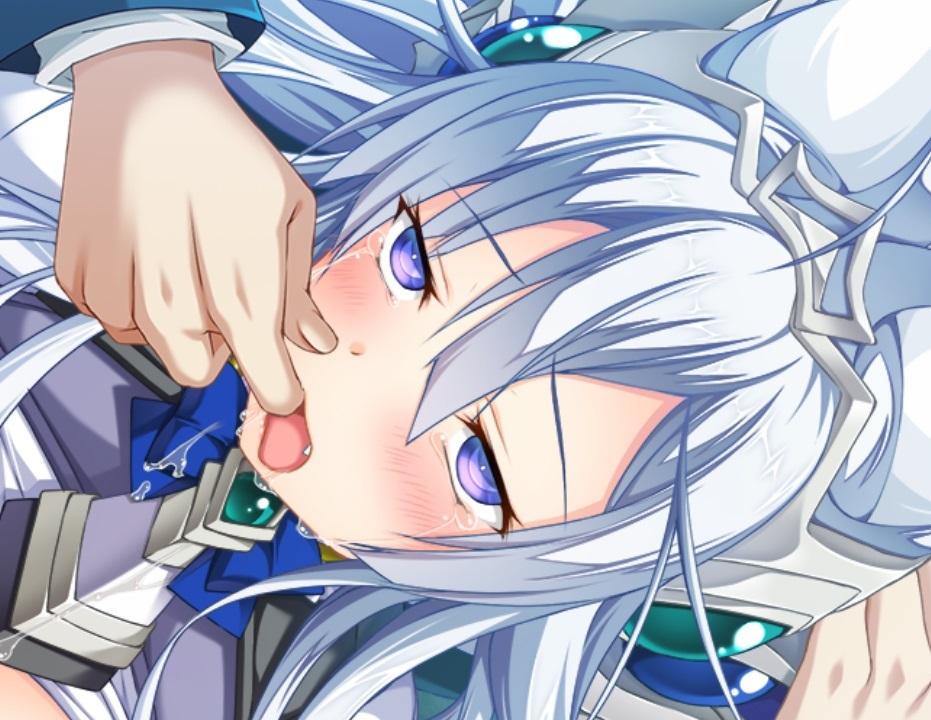 【生肉】BALDR BRINGER EXTEND CODE 游戏截图 4