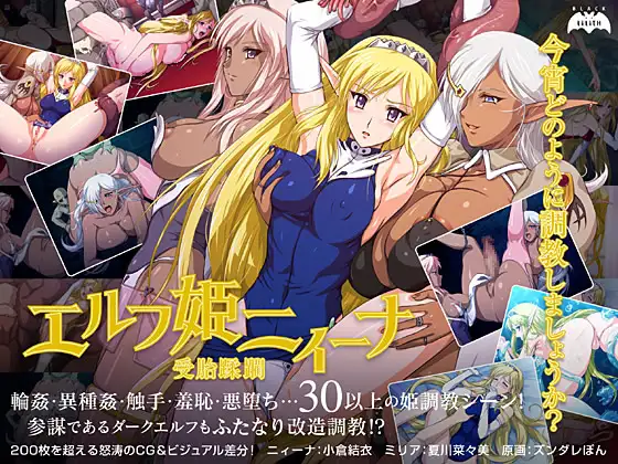拔作ADV/汉化丨精灵公主妮娜 /エルフ姫ニィーナ ～受胎蹂躙～ AI汉化版+全CG存档【20240613】 游戏截图 1