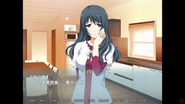 NTR抢夺！失去记忆的妻子明日香！云汉化版+CG包 游戏截图 2