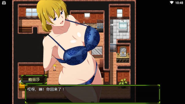 斩穿姫埃克斯艾尔V1.01 游戏截图 3