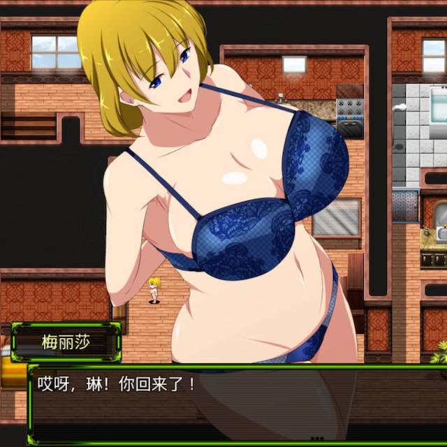 斩穿姫埃克斯艾尔V1.01